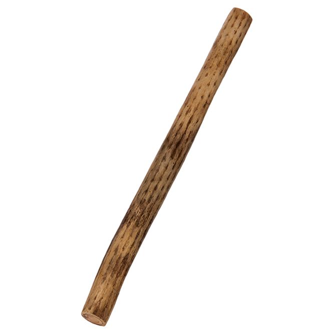 Hovedbilde Afroton Regnstav / Rainmaker Cactus 50 cm