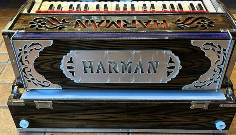 Harmonium fra India med softbag