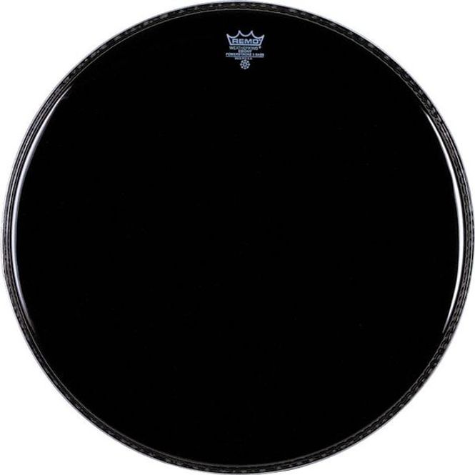 Hovedbilde Remo Ambassador Ebony. 13''