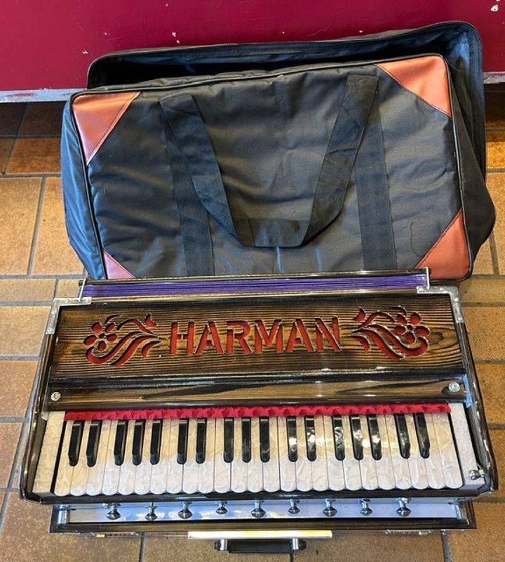Harmonium fra India med softbag